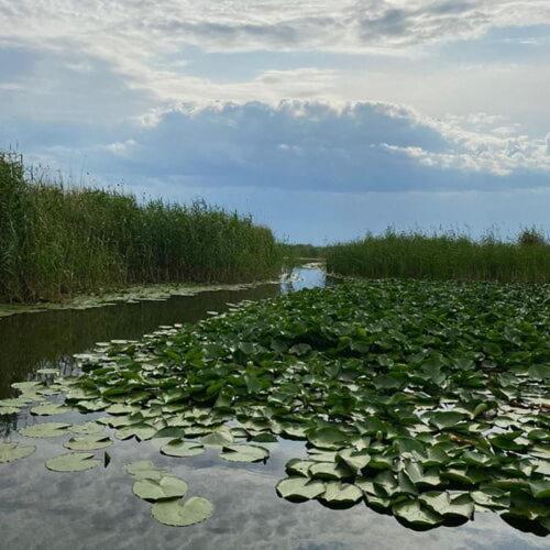 Agropensiuea Casa Uncu Hotel Муригьол Екстериор снимка
