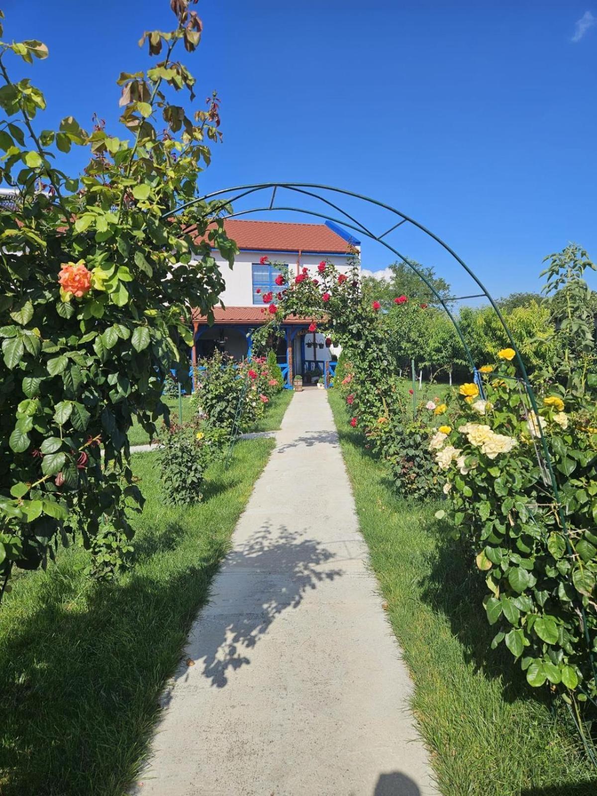 Agropensiuea Casa Uncu Hotel Муригьол Екстериор снимка