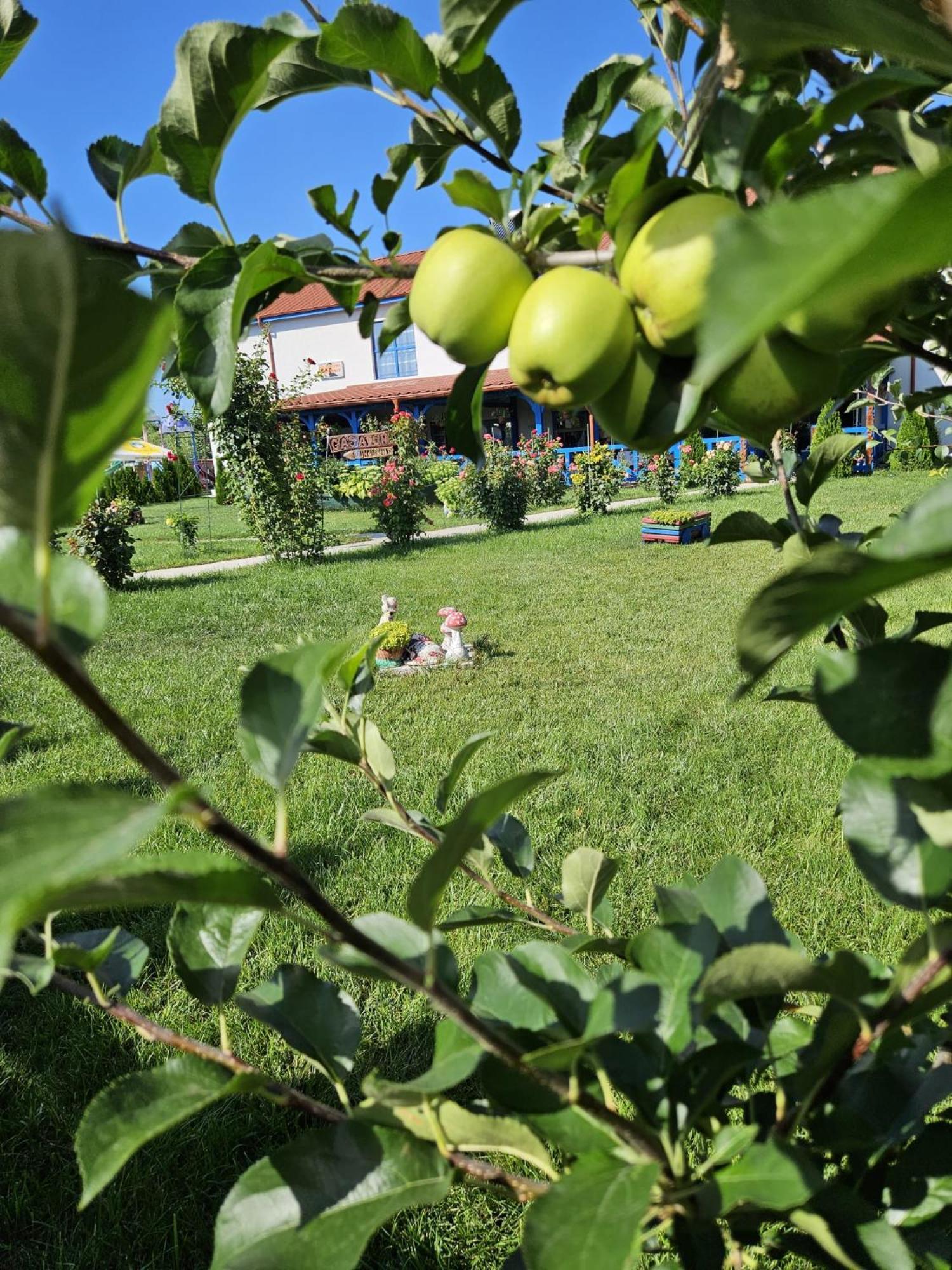 Agropensiuea Casa Uncu Hotel Муригьол Екстериор снимка